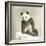 Giant Panda-null-Framed Photo