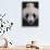 Giant Panda-DLILLC-Stretched Canvas displayed on a wall