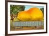 Giant Pear in Rail Car-null-Framed Art Print