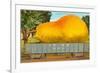 Giant Pear in Rail Car-null-Framed Premium Giclee Print