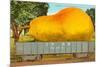 Giant Pear in Rail Car-null-Mounted Premium Giclee Print