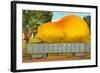 Giant Pear in Rail Car-null-Framed Art Print