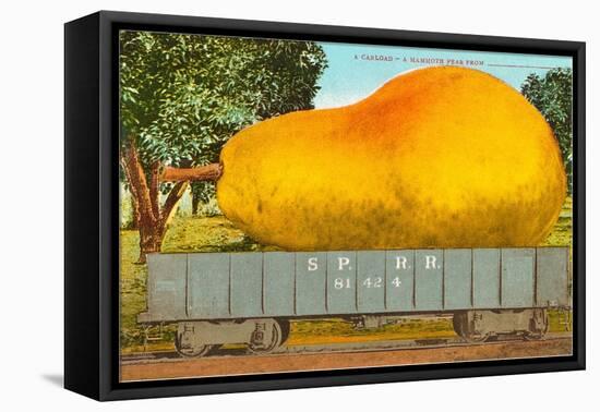 Giant Pear in Rail Car-null-Framed Stretched Canvas