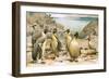 Giant Penguins-Wilhelm Kuhnert-Framed Giclee Print