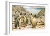 Giant Penguins-Wilhelm Kuhnert-Framed Giclee Print