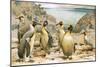 Giant Penguins-Wilhelm Kuhnert-Mounted Giclee Print