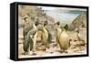 Giant Penguins-Wilhelm Kuhnert-Framed Stretched Canvas