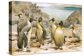 Giant Penguins-Wilhelm Kuhnert-Stretched Canvas