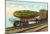 Giant Pickle on Flatbed-null-Mounted Art Print