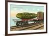 Giant Pickle on Flatbed-null-Framed Art Print