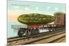 Giant Pickle on Flatbed-null-Mounted Art Print
