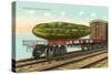 Giant Pickle on Flatbed-null-Stretched Canvas