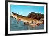 Giant Pike in Boat-null-Framed Premium Giclee Print