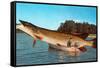 Giant Pike in Boat-null-Framed Stretched Canvas