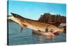 Giant Pike in Boat-null-Stretched Canvas