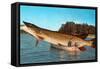 Giant Pike in Boat-null-Framed Stretched Canvas