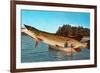 Giant Pike in Boat-null-Framed Art Print