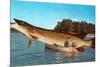 Giant Pike in Boat-null-Mounted Art Print