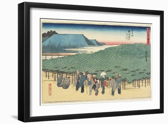 Giant Pine of Naniwaya in Anryu-Machi, C. 1834-Utagawa Hiroshige-Framed Giclee Print