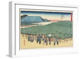 Giant Pine of Naniwaya in Anryu-Machi, C. 1834-Utagawa Hiroshige-Framed Giclee Print