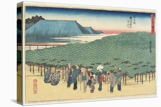 Giant Pine of Naniwaya in Anryu-Machi, C. 1834-Utagawa Hiroshige-Stretched Canvas
