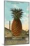 Giant Pineapple on Flatbed, Honolulu, Hawaii-null-Mounted Art Print