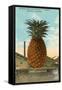 Giant Pineapple on Flatbed, Honolulu, Hawaii-null-Framed Stretched Canvas