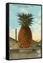 Giant Pineapple on Flatbed, Honolulu, Hawaii-null-Framed Stretched Canvas