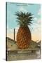 Giant Pineapple on Flatbed, Honolulu, Hawaii-null-Stretched Canvas