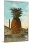 Giant Pineapple on Flatbed, Honolulu, Hawaii-null-Mounted Art Print