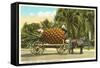 Giant Pineapple on Wagon, Florida-null-Framed Stretched Canvas