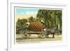 Giant Pineapple on Wagon, Florida-null-Framed Art Print