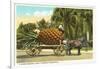 Giant Pineapple on Wagon, Florida-null-Framed Art Print