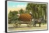 Giant Pineapple on Wagon, Florida-null-Framed Stretched Canvas