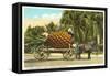 Giant Pineapple on Wagon, Florida-null-Framed Stretched Canvas