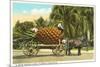 Giant Pineapple on Wagon, Florida-null-Mounted Premium Giclee Print