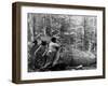 Giant Poplar on the William Sic, West Virginia-null-Framed Photo