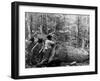 Giant Poplar on the William Sic, West Virginia-null-Framed Photo