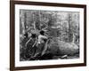 Giant Poplar on the William Sic, West Virginia-null-Framed Photo