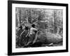 Giant Poplar on the William Sic, West Virginia-null-Framed Photo