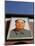 Giant Portrait of Mao Tzedong on the Heavenly Gate to the Forbidden City, Beijing, China-Angelo Cavalli-Mounted Photographic Print