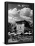 Essential Black