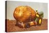 Giant Potato on Toy Tractor-null-Stretched Canvas