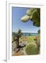 Giant Prickly Pear Cactus, South Plaza Island, Galapagos, Ecuador-Cindy Miller Hopkins-Framed Premium Photographic Print