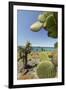 Giant Prickly Pear Cactus, South Plaza Island, Galapagos, Ecuador-Cindy Miller Hopkins-Framed Premium Photographic Print