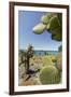 Giant Prickly Pear Cactus, South Plaza Island, Galapagos, Ecuador-Cindy Miller Hopkins-Framed Photographic Print