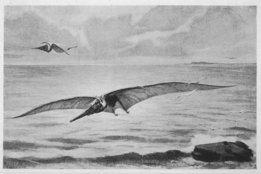 Pteranodon and beyond: the history of giant pterosaurs from 1870 onwards