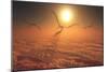 Giant Quetzalcoatlus Pterosaurs Flying Above the Clouds-Stocktrek Images-Mounted Premium Giclee Print