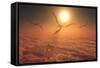 Giant Quetzalcoatlus Pterosaurs Flying Above the Clouds-Stocktrek Images-Framed Stretched Canvas