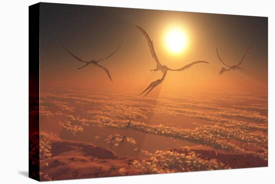 Giant Quetzalcoatlus Pterosaurs Flying Above the Clouds-Stocktrek Images-Stretched Canvas